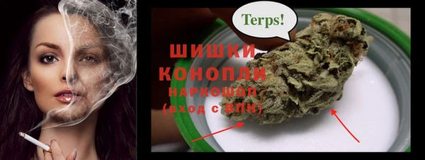 гашик Надым