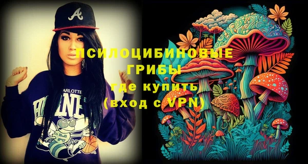 гашик Надым