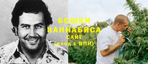 гашик Надым