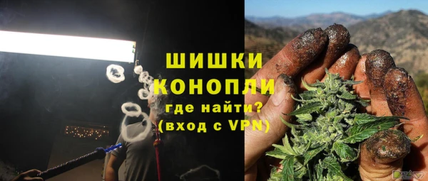 гашик Надым