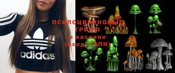 гашик Надым